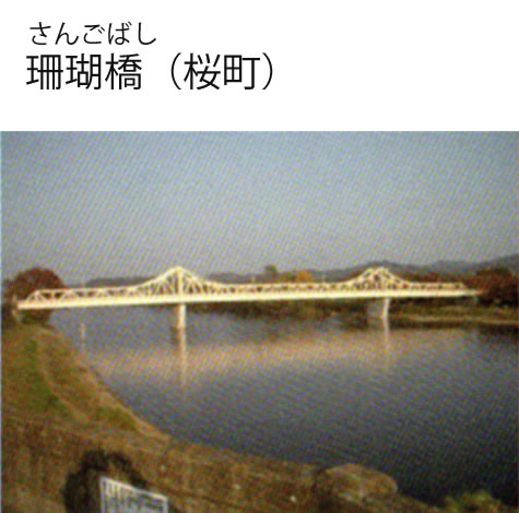 珊瑚橋（桜町）